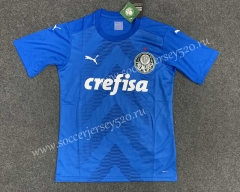 2022-2023 SE Palmeiras Goalkeeper Blue Thailand Soccer Jersey AAA-GB