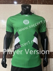 Player Version 2023-2024 Celtic Green Thailand Soccer Jersey AAA-CS