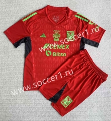 2023-2024 Tigres UANL Goalkeeper Red Soccer Uniform-AY