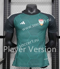 Player Version 2024-25 United Arab Emirates Away Green Thailand Soccer Jersey AAA-888