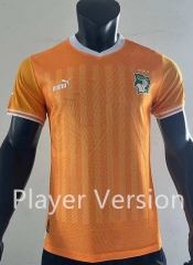 Player Version 2024-2025 Ivory Coast Orange Thailand Soccer Jersey AAA-SJ