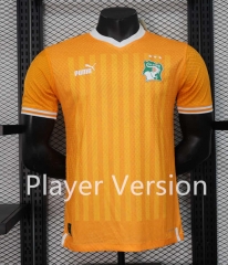 Player Version 2024-2025 3 Stars Ivory Coast Orange Thailand Soccer Jersey AAA-888