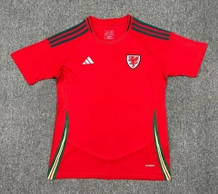 2024-2025 Wales Home Red Thailand Soccer Jersey AAA-512