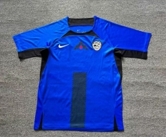 2024-2025 Slovenia Home Blue Thailand Soccer Jersey AAA-512