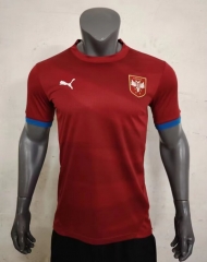 2024-2025 Serbia Home Red Thailand Soccer Jersey AAA-416