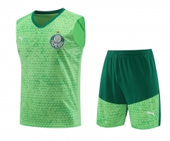 2024-2025 SE Palmeiras Light Green Thailand Soccer Vest Uniform-418