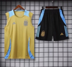 2024-2025 Argentina Light Yellow Thailand Soccer Vest Uniform-418