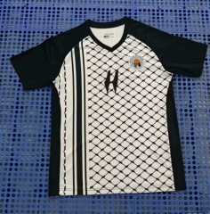 (S-4XL) 2024-2025 Palestine White Thailand Soccer Jersey AAA-4283
