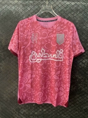 2024-2025 Palestine Pink Thailand Training Soccer Jersey AAA-2733