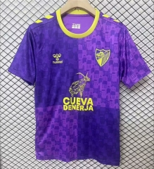 2024-2025 Málaga CF Purple Thailand Training Soccer Jersey AAA-2044